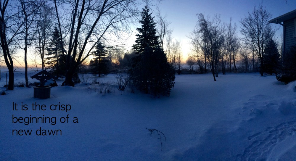 Crisp Beginning of a New Dawn